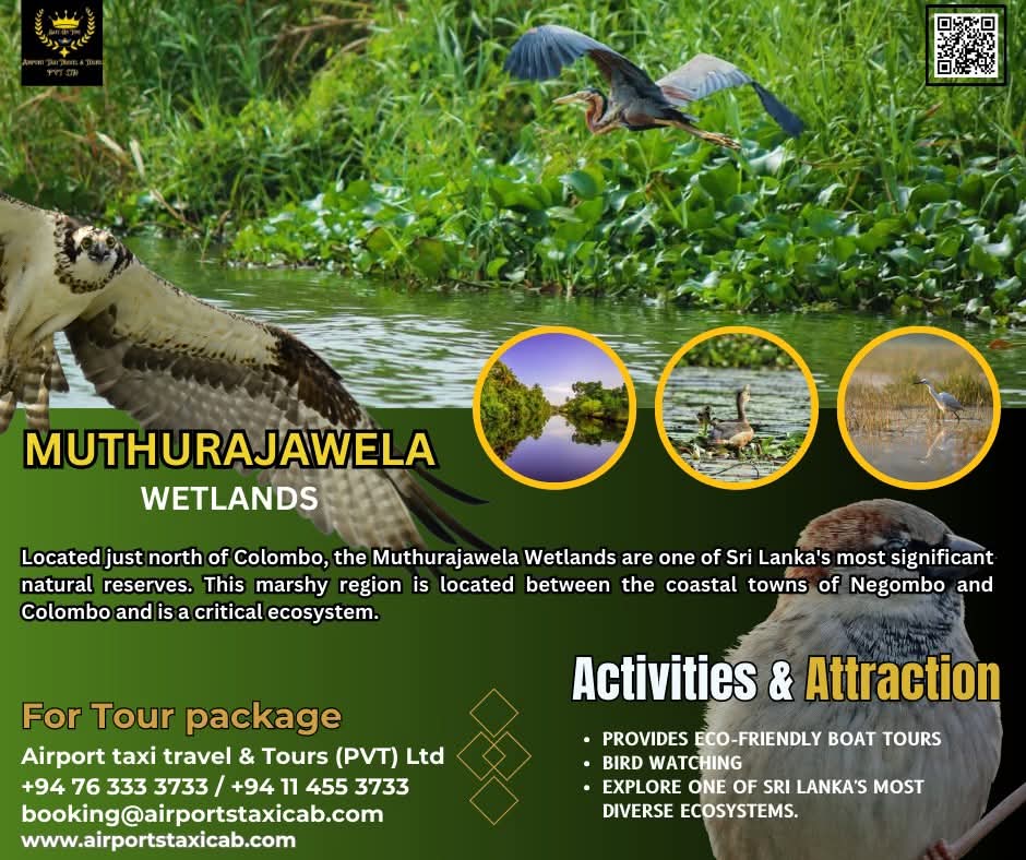 Sri Lanka tour photo 15